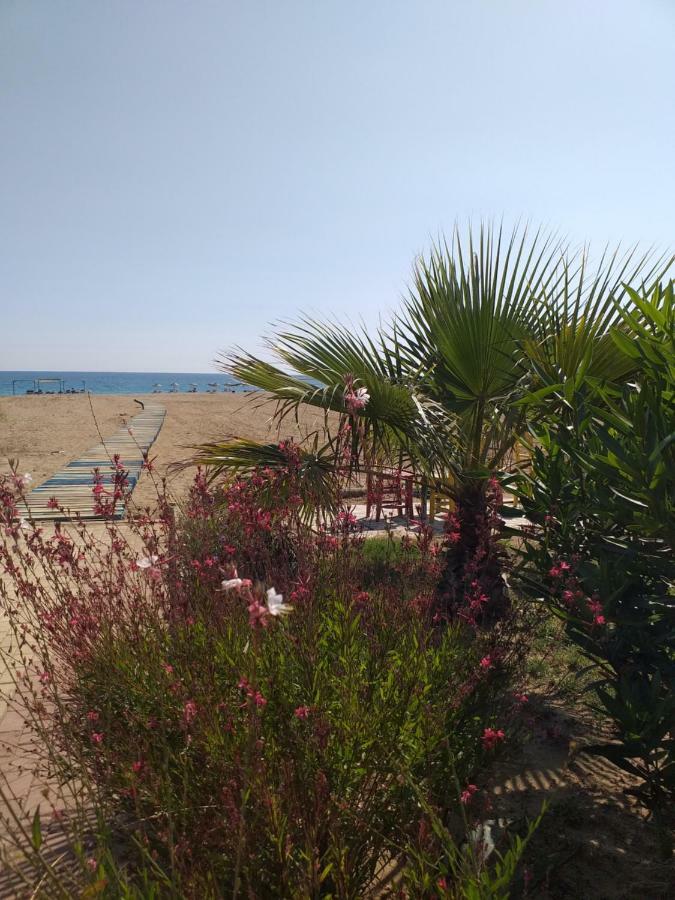 Skys Beach Hotel Manavgat Extérieur photo